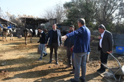 CHP'li Gaytancıoğlu'ndan et ithalatına sert eleştiri