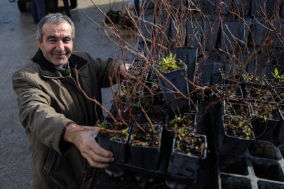 Bursa Büyükşehir'den kırsala fide ve fidan desteği sürüyor