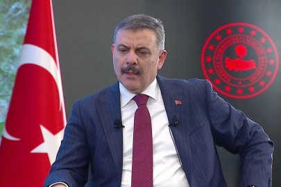 Bakan Çiftçi: İki tip plaka da geçerli