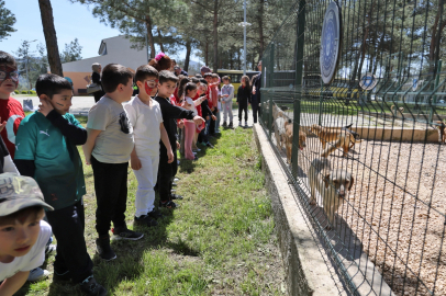 Bursa'da çocuklar patili dostlarla buluştu